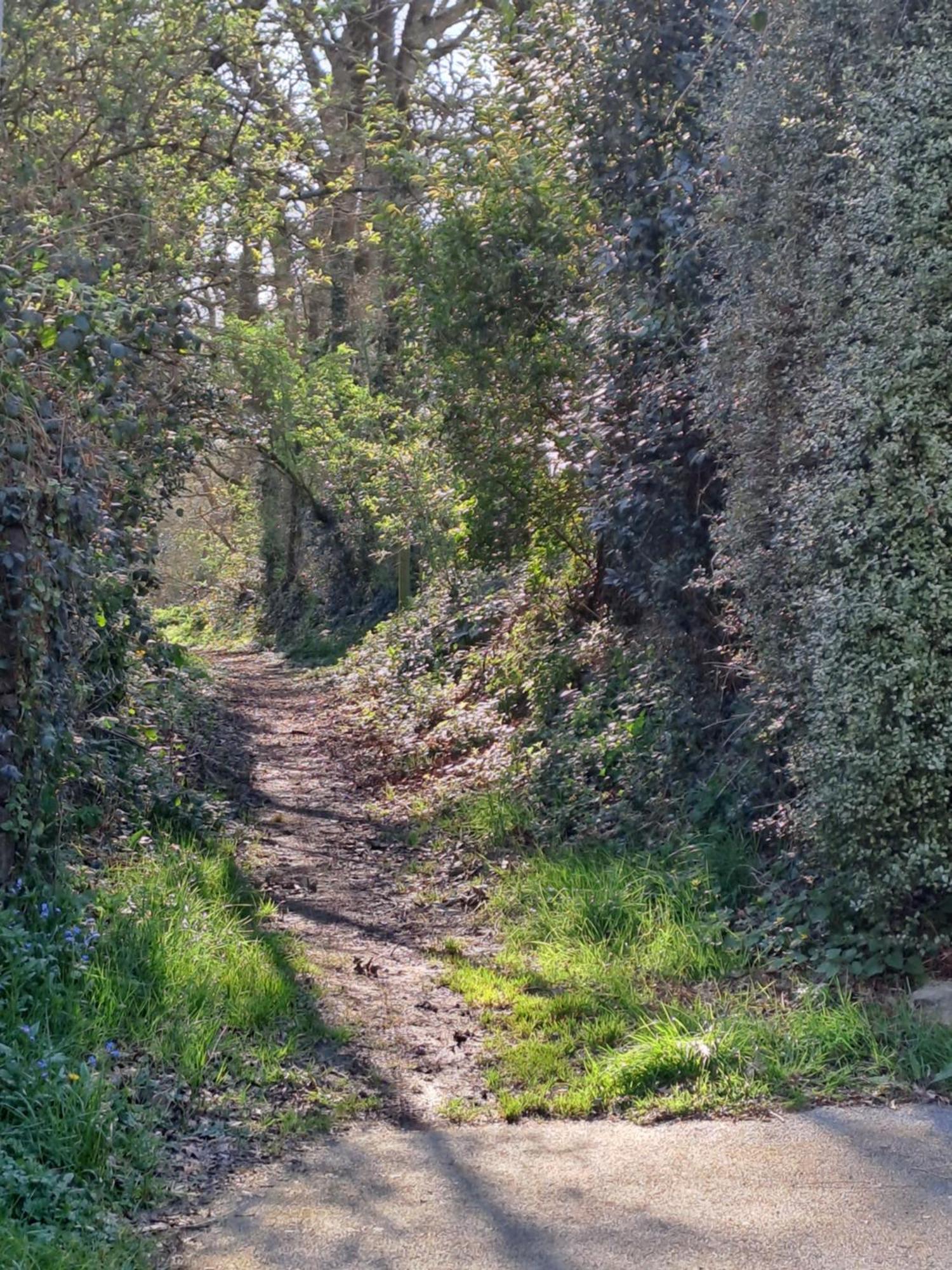 Penty La Houssaye Βίλα Pontivy Εξωτερικό φωτογραφία